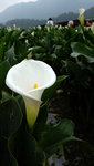 DSCF2820