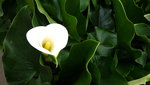 DSCF2842