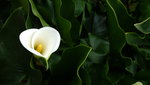 DSCF2843