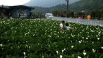 DSCF2850