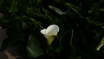 DSCF2853