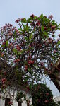 DSCF2565