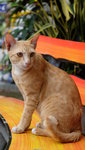 DSCF2574