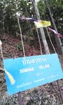 IMG_20150323_064525