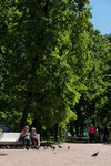 P1010645
