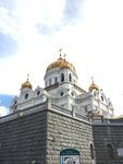 IMG_2847