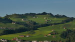 P1310023