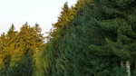 P1310052