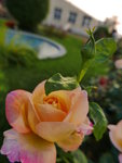 P1340269