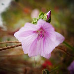 P1340899
