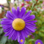 P1350013
