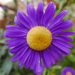 P1350014
