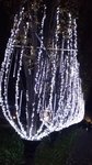 P_20181207_193131_vHDR_Auto
