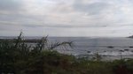 P_20190918_170051_vHDR_On