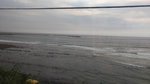 P_20190918_170251_vHDR_On