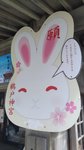 P_20190919_130136_vHDR_On