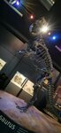 IMG_20191121_144946