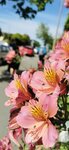 IMG_20191121_154441