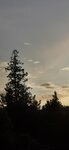 IMG_20191121_201810