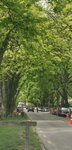 IMG_20191117_135417