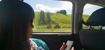 IMG_20191120_103923