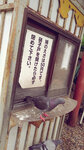 WuTa_2019-06-28_15-26-18