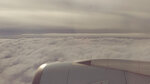 WuTa_2019-06-29_17-10-48