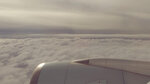 WuTa_2019-06-29_17-10-51