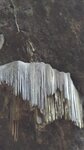 P_20180124_105101_vHDR_On
