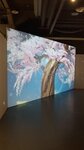 P_20180310_134233_vHDR_On