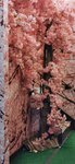 IMG_20230324_113657