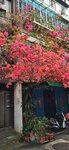 IMG_20230325_133221