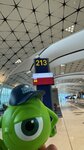 IMG_8682
