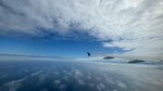 IMG_8742