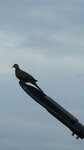 IMG_8897