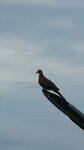 IMG_8900
