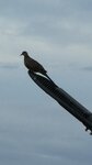 IMG_8901