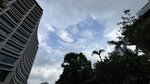 IMG_1425