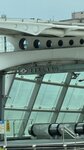 IMG_1427
