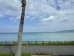 IMG_9493