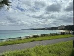 IMG_9494