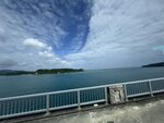 IMG_9501