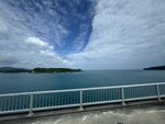 IMG_9502