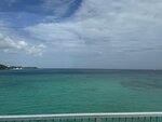 IMG_9505