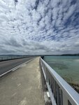 IMG_9544