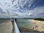 IMG_9549