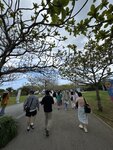 IMG_9625