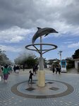 IMG_9626