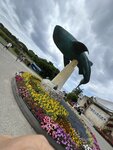 IMG_9629