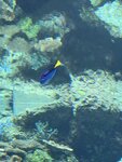 IMG_9635